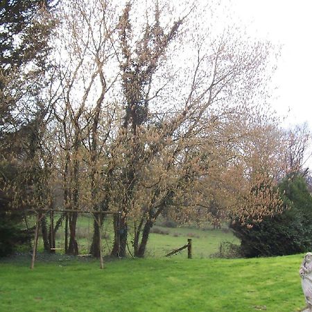 Chateau Champigny Bed and Breakfast Maillet  Exteriör bild