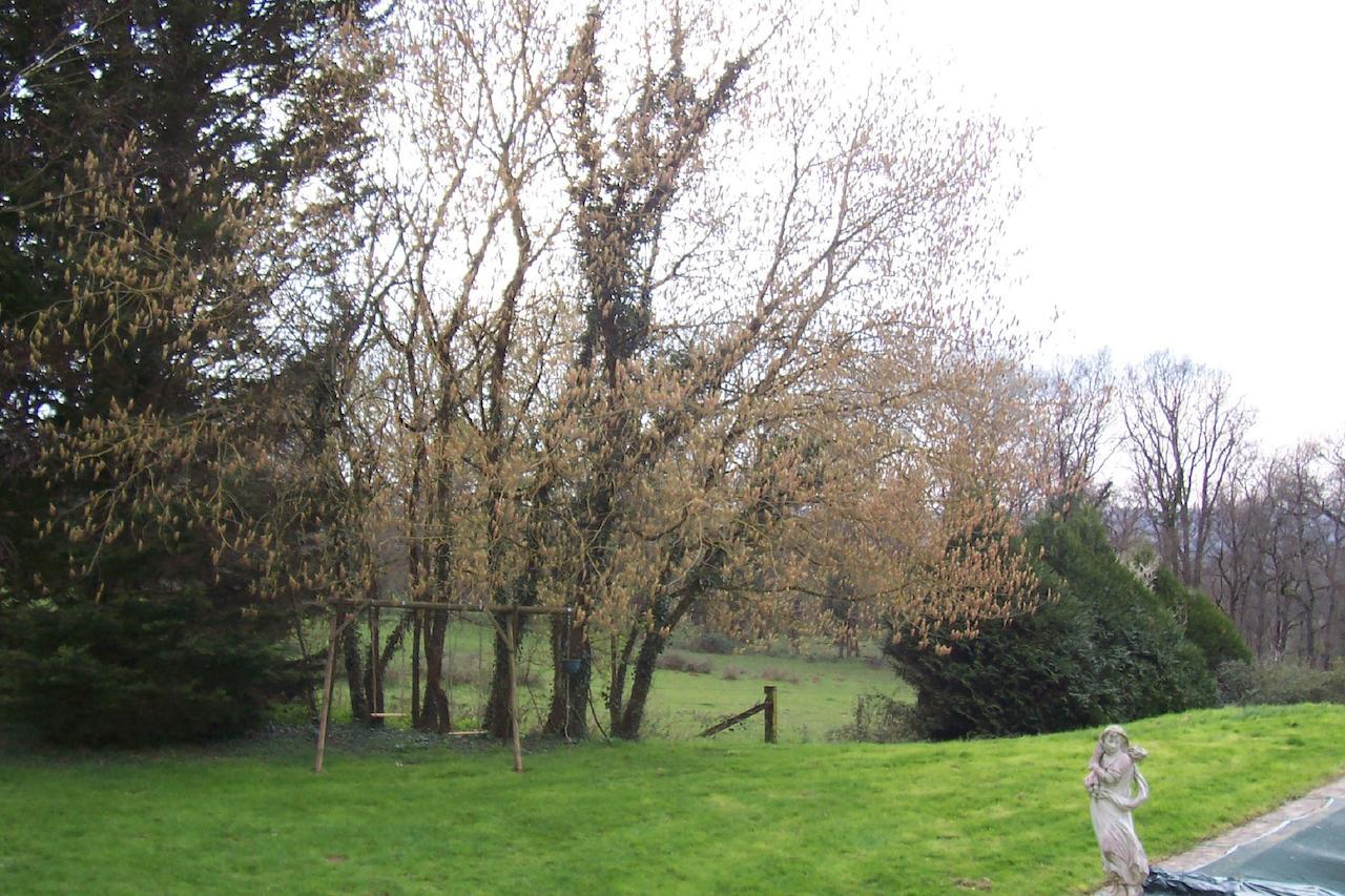 Chateau Champigny Bed and Breakfast Maillet  Exteriör bild